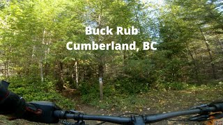 Buck Rub in Cumberland, BC