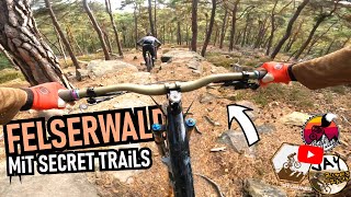 PFÄLZERWALD auf Secret Trails im 'Felserwald'...