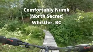 Comfortably Numb (North Secret) Mountain Biking Trail - Whistler