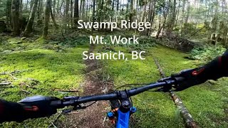 Swamp Ridge at Mt.  Work, Saanich, BC