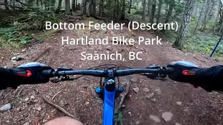 Bottom Feeder (Descent) at Hartland Bike Park,...