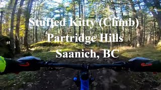 Stuffed Kitty (Climb) at Partridge Hills,...
