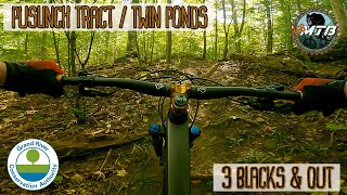 Puslinch Tract / Twin Ponds 3 Blacks & Out