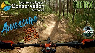 Palgrave Conservation Area part #2
