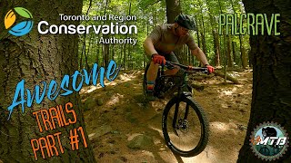 Palgrave Conservation Area part #1