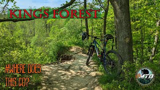 Trail Ride at Kings Forest in Hamilton May 21