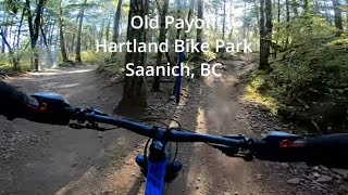 Old Payoff at Hartland Bike Park, Saanich, BC