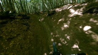 Lock Down - Alpe di Monghidoro | Bologna...