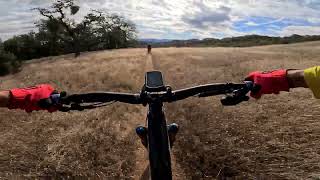 Henry Coe - Serpentine DH