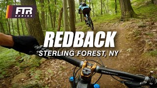 Redback – Sterling Forest State Park, Tuxedo...