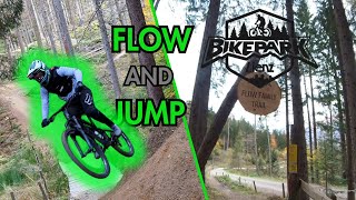 FLOW FAMILY TRAIL SALTI A NON FINIRE! @BIKE...