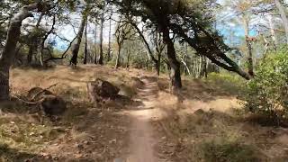 South Burma, Annadel State Park