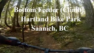 Bottom Feeder (Climb) at Hartland Bike Park in...