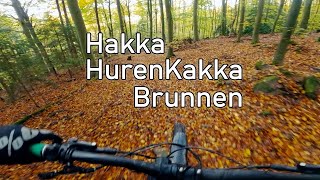 Let's Ride MTB - Heidelberg // Königstuhl -...