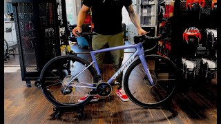 Tarmac SL8 Expert