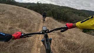 Henry Coe - Grizzly Gulch DH - loose and flowy