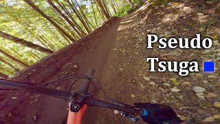 Pseudo Tsuga - Diamond Head
