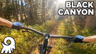 Black Canyon Trail // Teton Pass, Wilson, WY...