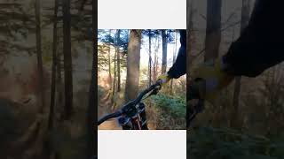 Bikes in Japan #mountainbiking #mtb #mtblife...