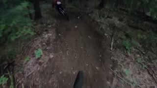 Brushwoods flow trail: D-7