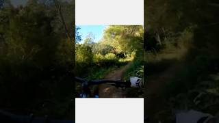 Biking in Tasmania #mountainbiking #mtb...