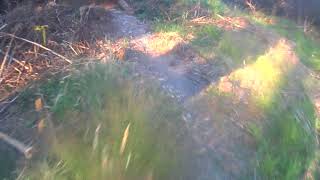 Bread and butter trail full run July 18