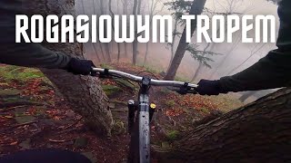 Beskid Sądecki | Kraina rasowych singli...