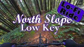 Low Key, North Slope at Capitol State Forest