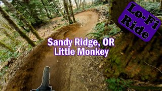 Little Monkey | Lo-Fi Ride