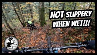 Mollau Enduro - Alsace (France)
