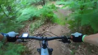 New trail SAMBA