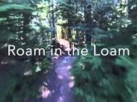 Golden Boner / Roam in the Loam / Instant...