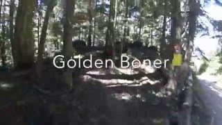 Golden Boner / Roam in the Loam / Instant...