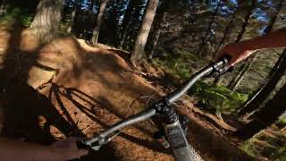 Gumdiggers 2 @ Fourforty MTB Park