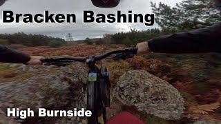 Bracken Bashing - High Burnside 2023