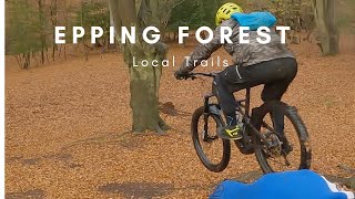 Local Lines at Epping Forest