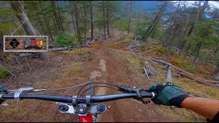 Is PEMBERTON Worth the HYPE!?