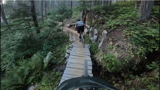 FLASHBACK 2 & 3 | Blue trail | Cheakamus -...