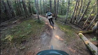 CHIPMUNK REBELLION | Blue trail | Whistler