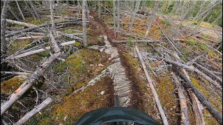 HIGH HOPES | Black trail | Whistler