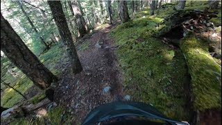 YOUNG LUST | Black trail | Whistler