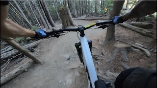 AFTERNOON DELIGHT | Black trail | Whistler...