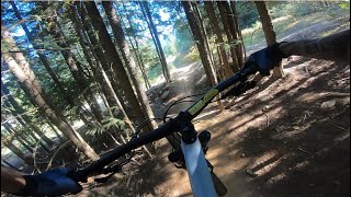 HORNET | Blue trail | Whistler Bikepark