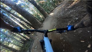 WORLD CUP SINGLE TRACK | Blue trail | Whistler...
