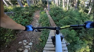 Longest Skinny in Whistler Bikepark | Double...