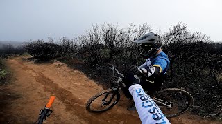 AVALANCHE TRAIL Rising from the Ashes