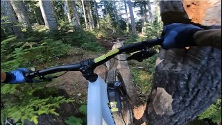 FATCROBAT | Double black trail | Whistler Bikepark