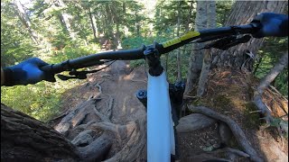 CAPTAIN SAFETY | Double black trail | Whistler...