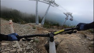 SABERTOOTH HORSE | Double black trail |...
