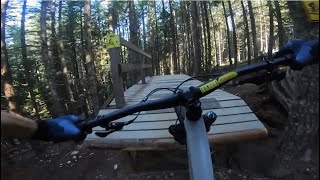 NINJA COUGAR + FADE TO BLACK | Double black...
